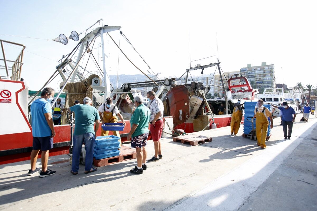 Taula Parada debate sobre el futuro de la pesca en el Mediterráneo (I)