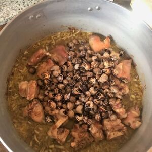 Caragolà de Pego – Alfred Martínez (4)