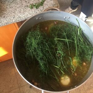 Caragolà de Pego – Alfred Martínez (6)