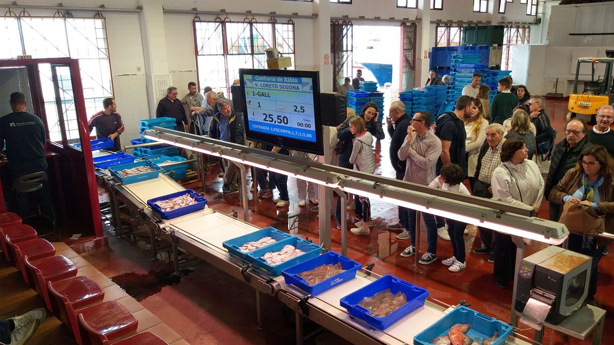 Taula Parada debate sobre el futuro de la pesca en el Mediterráneo (I)